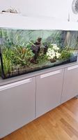 Aquarium zu verkaufen