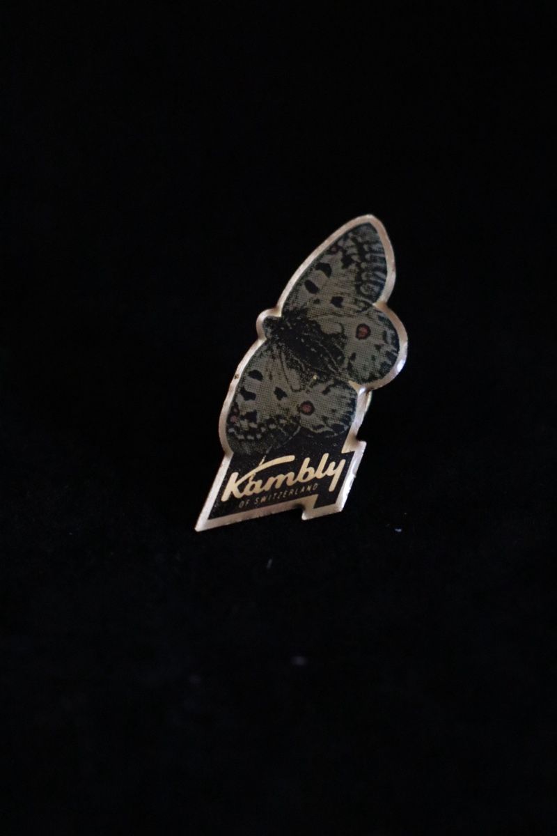 Placchette & Badge: Kambly Schmetterling PIN‘s – Usato da Ottenbach venduto da siiinnaa_77 3