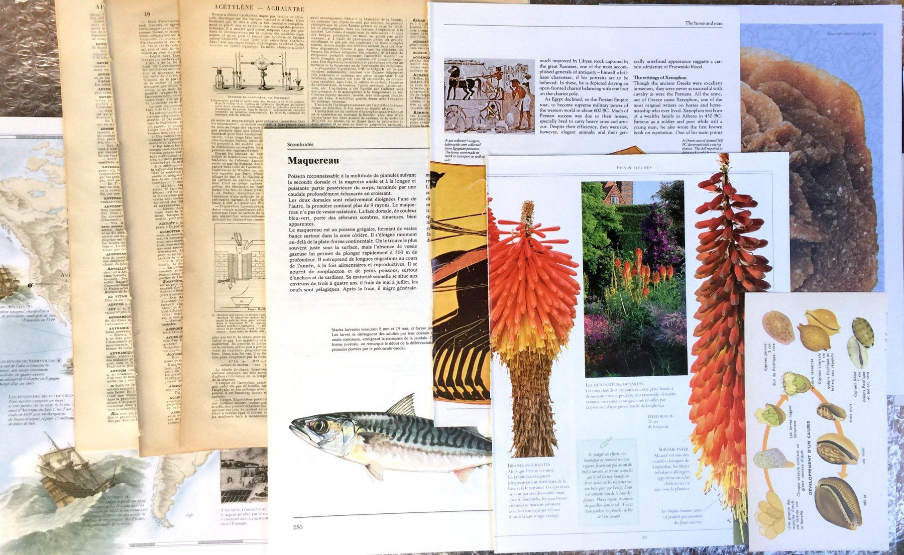 Libri: ephemera 10/papier collage bastelpapier scrapbooking+Versand – Usato da Pully venduto da websurfer1 1