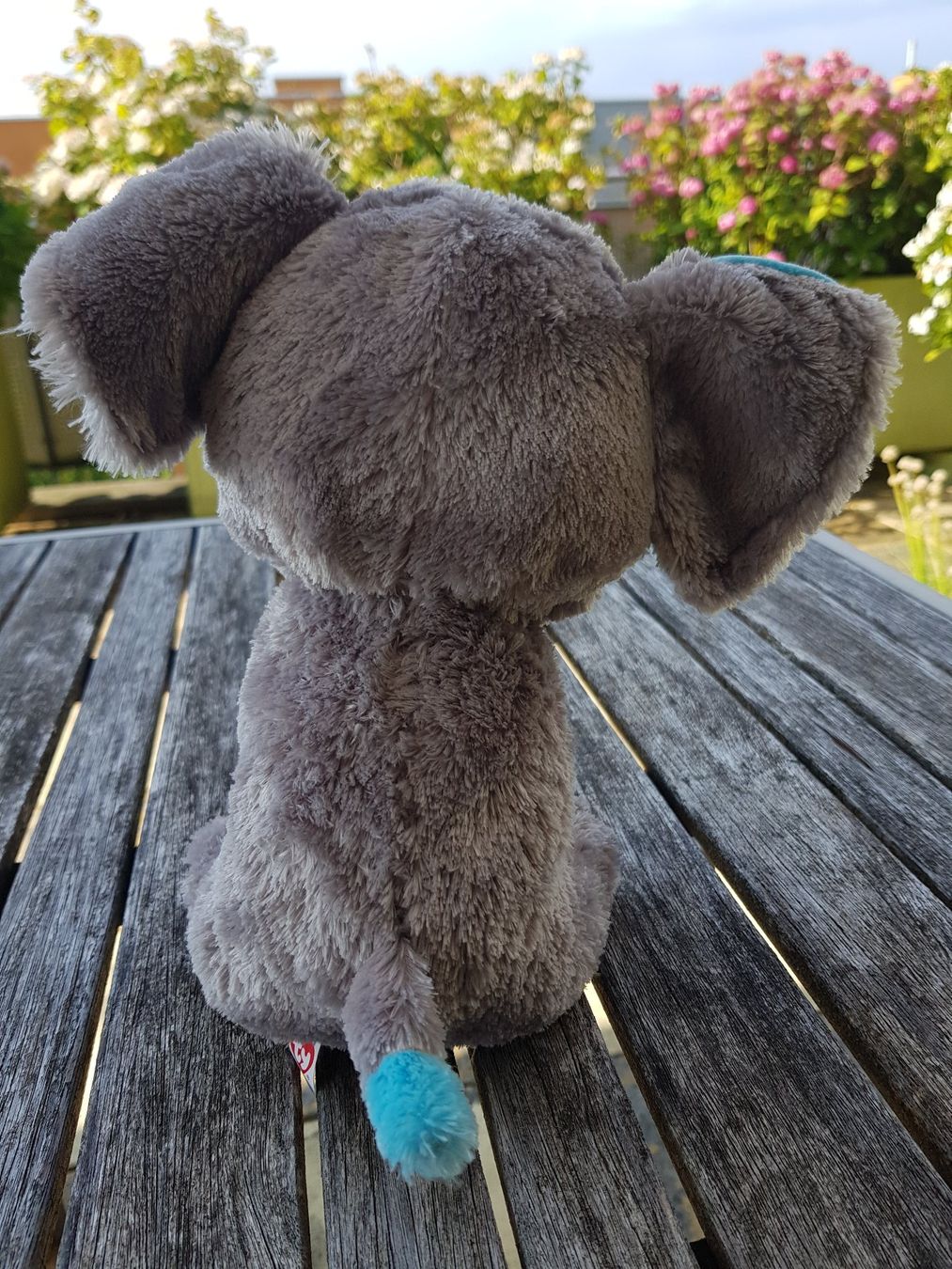 Jouets: Plüschelefant – D'occasion à Jona par dampfnuggi 3