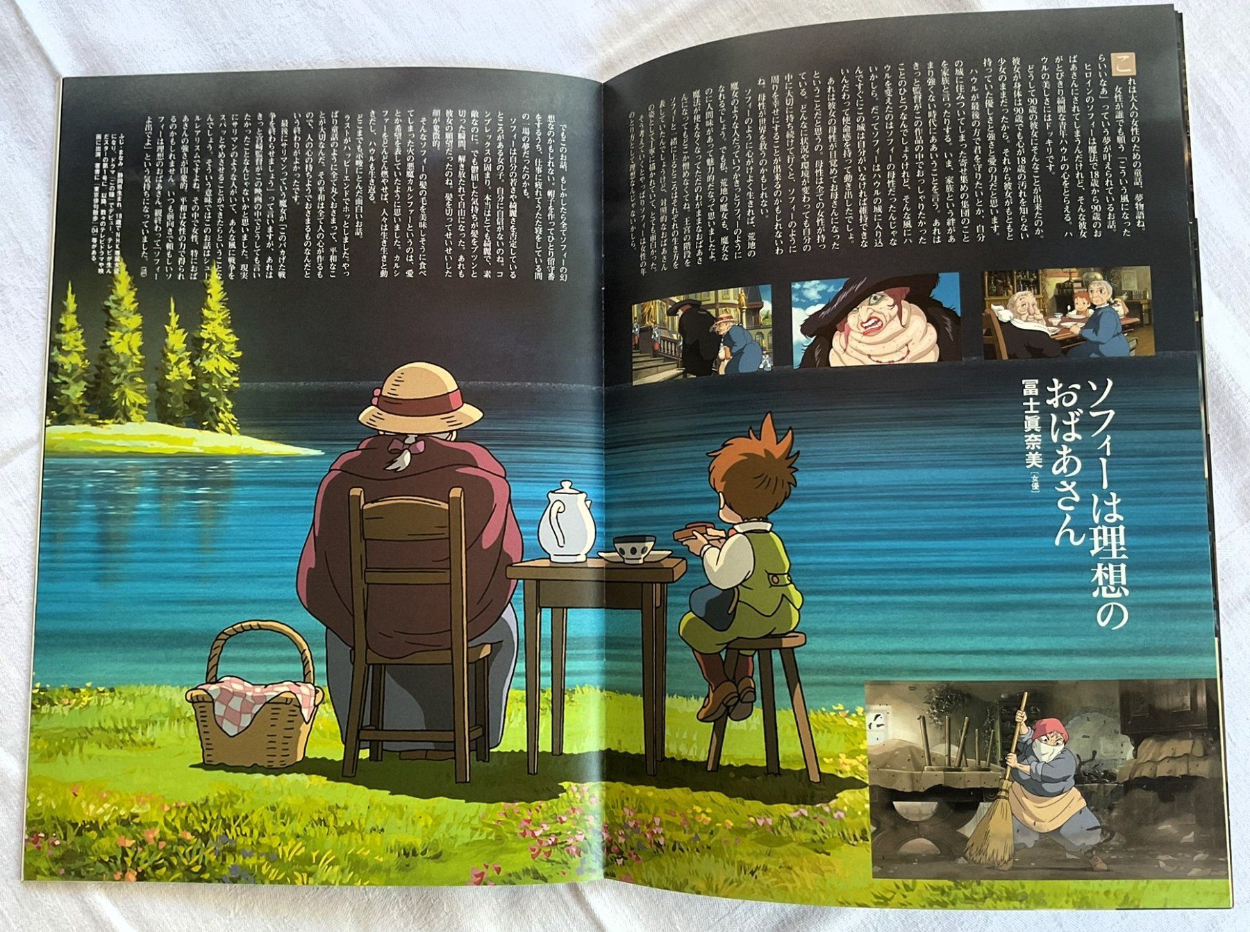 Fumetti: Studio Ghibli Filmprogramm: Howl's Moving Castle (2004) – Usato da Rütihof venduto da AkibaVault 6