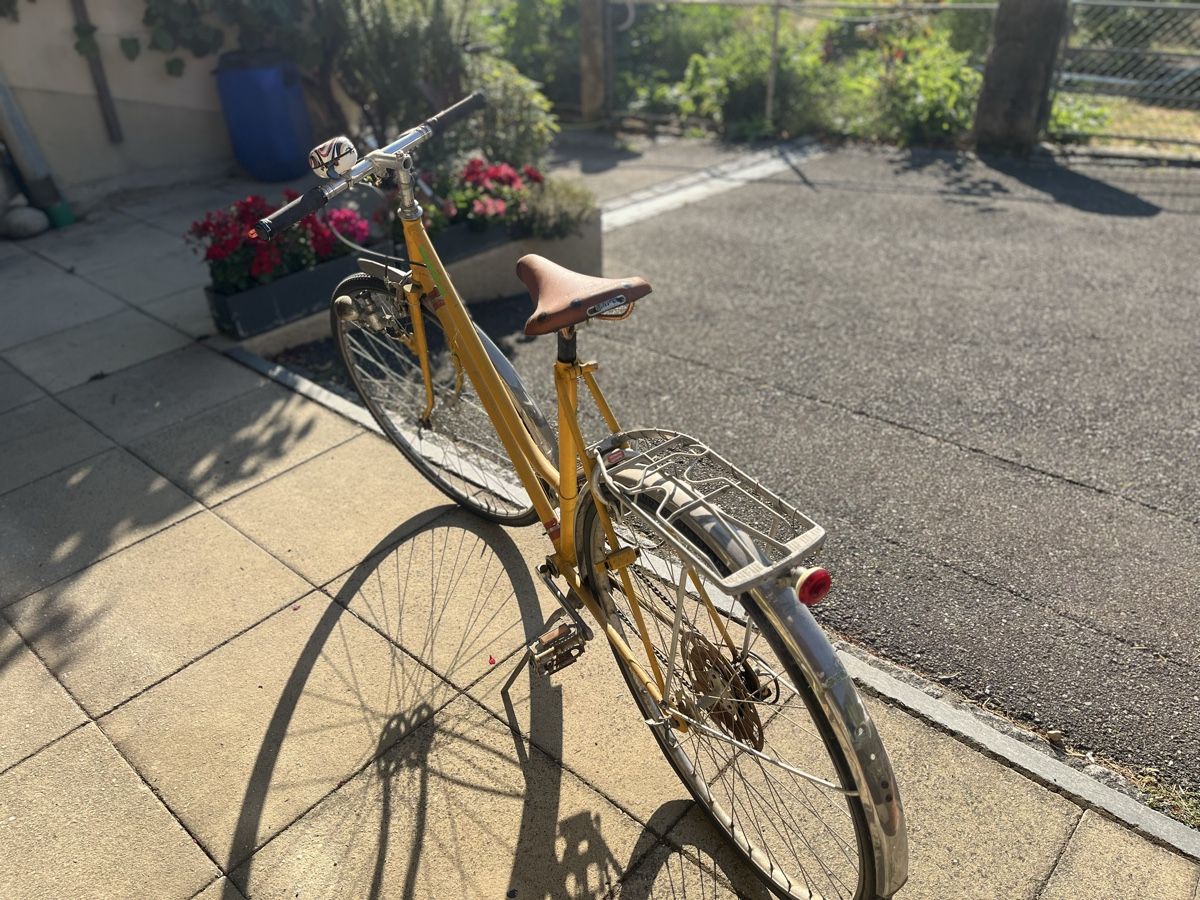 Biciclette: Altes Damen fahrrad – Usato da Bennwil venduto da Mseko 2