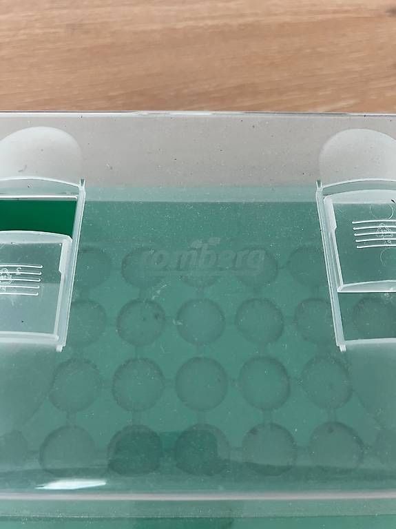 Altro: Anzuchtbox romberg – Usato da Oberwil-Lieli venduto da Jo-Ke 1