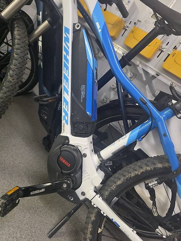 Wheeler Biciclette: Wheeler E Bike – Usato da Reinach BL venduto da SVLE 3