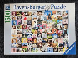 Puzzle Katzen 1500