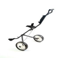 Golftrolley (Golfwagen)