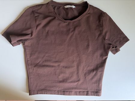 Damen T-Shirt Zara braun Grösse S neuwertig