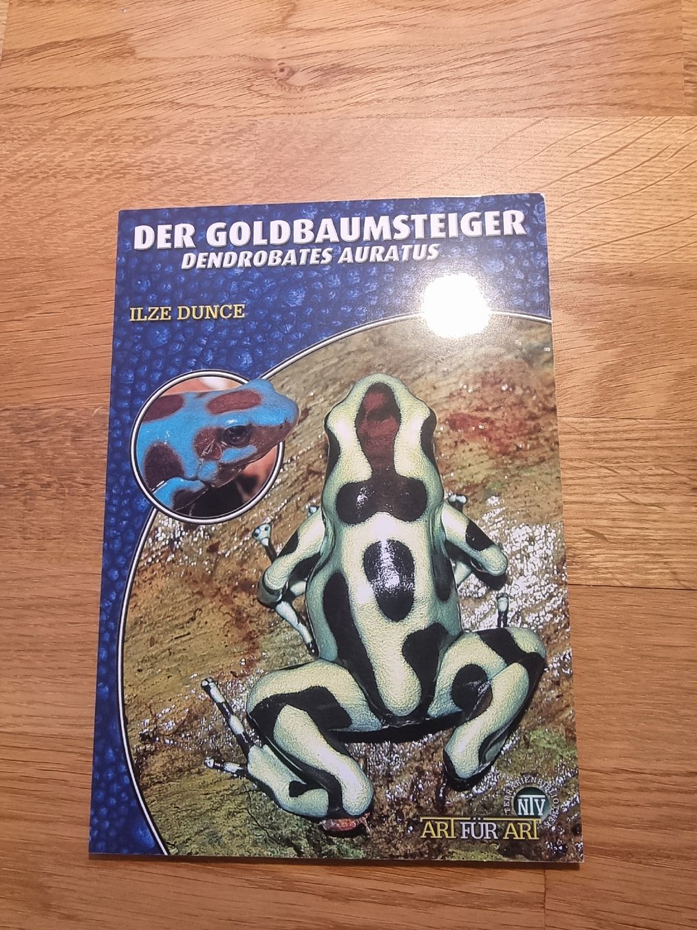 Livres: Der Goldbaumsteiger – Neuf (Voir description) à Derendingen par Sarah.jana