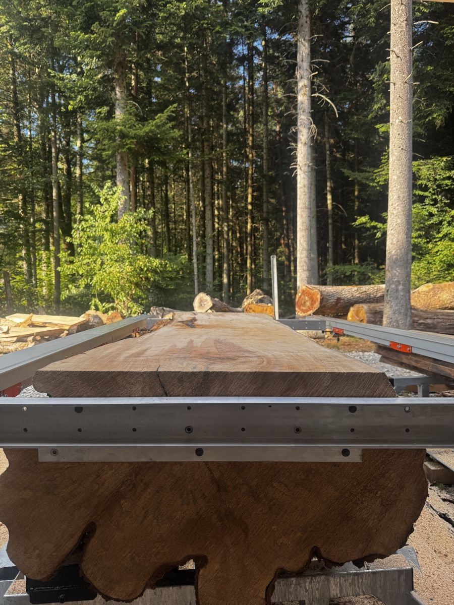 Holzartikel: Schweizer Feldahorn Bohlen – Neu (gemäss Beschreibung) aus Horn von joe_mb2d 1