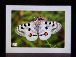 MIGROS MANIA Nature Detectives Nr. 59