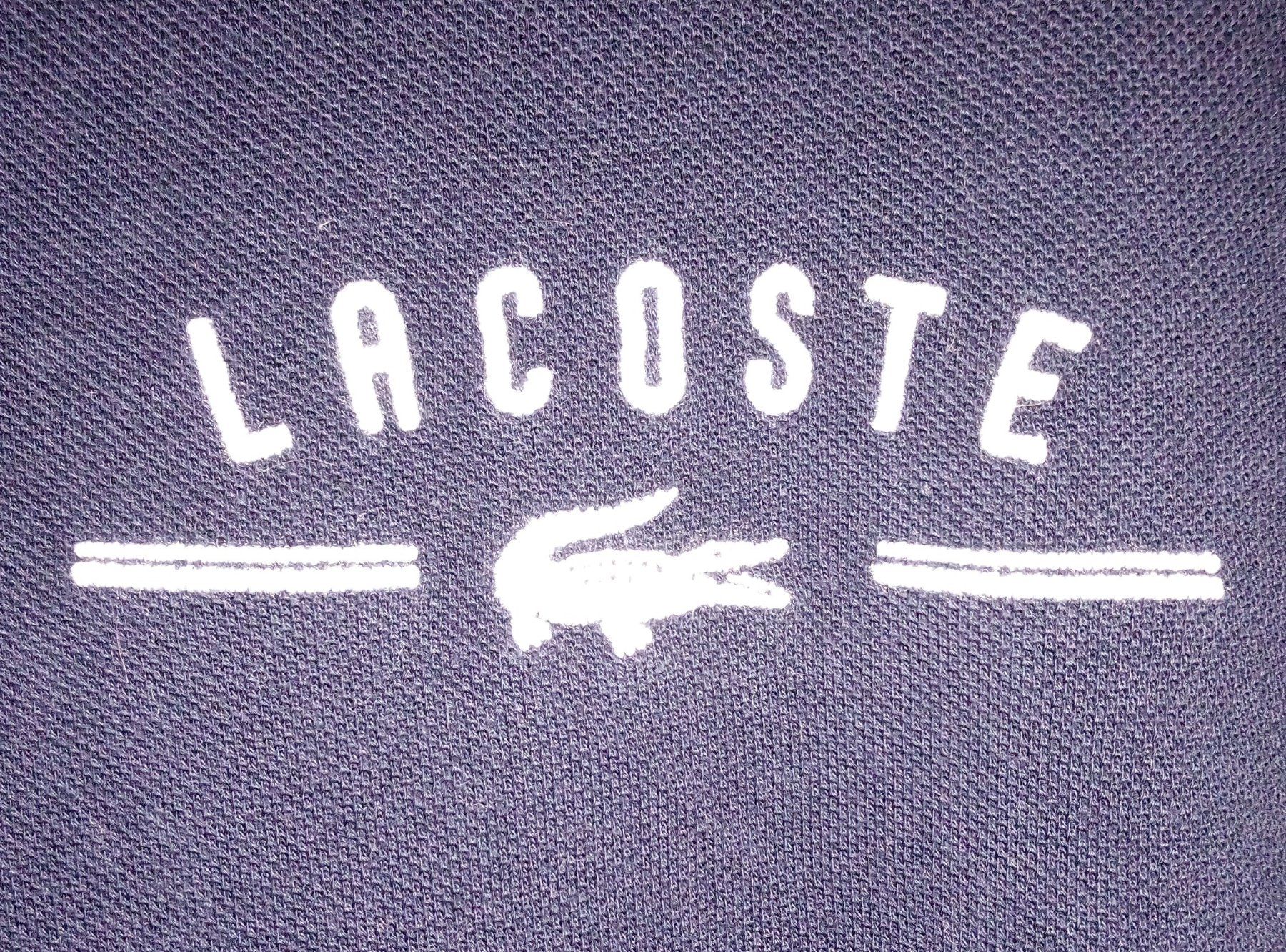 Lacoste Magliette Polo: Lacoste Polo Shirt Herren – Usato da Mörschwil venduto da Auktionae0 2