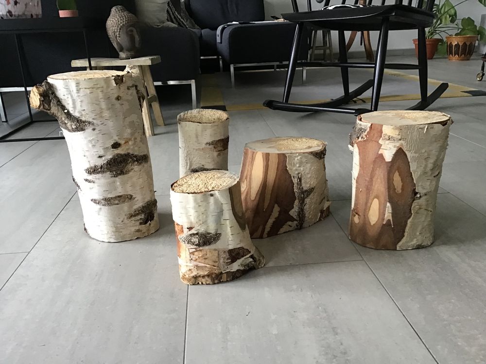 Birkenstämme, Deko, Advent, Garten 5 Stück Kaufen auf Ricardo