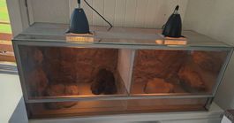 Terrarium mit Rückwand