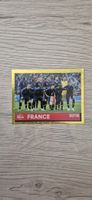 Panini 2022 - FWC 29
