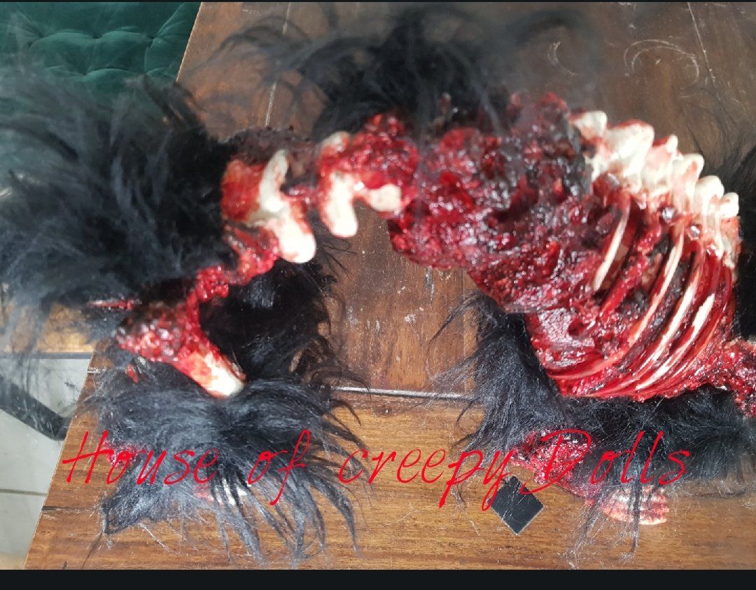 Alle Dekorationen: HORROR/ HALLOWEEN / ZOMBIE KATZE – Neu (gemäss Beschreibung) aus Root von LifestyleAccessoires 5
