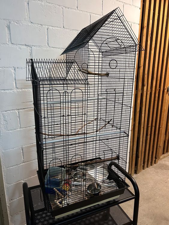 VOGELKÄFIG MIT VIEL ZUBEHÖR Gebraucht!!!! Kaufen auf Ricardo
