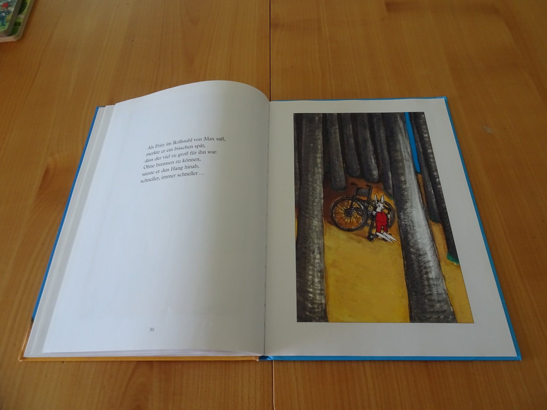 Bücher: Bilderbuch  Rollstiefelchen von Gregoire Solotareff- MA – Gebraucht aus Zürich von Roulet 8