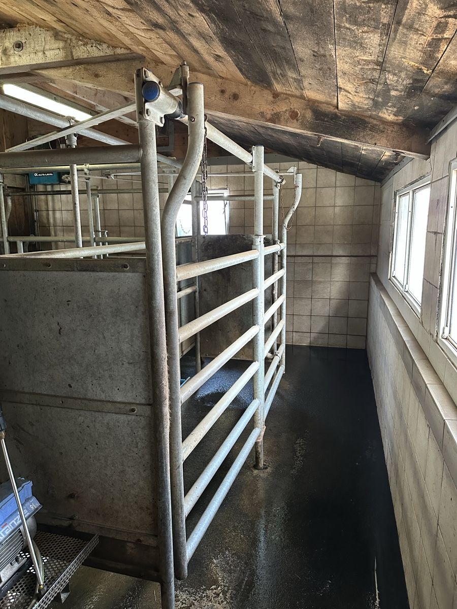 Delaval Tutte le macchine: Melkanlage – Usato da Klosters Dorf venduto da armin94 2
