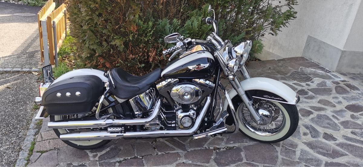 Touring: Harley-Davidson soft tail deluxe – Usato da Liesberg Dorf venduto da cavannii 3