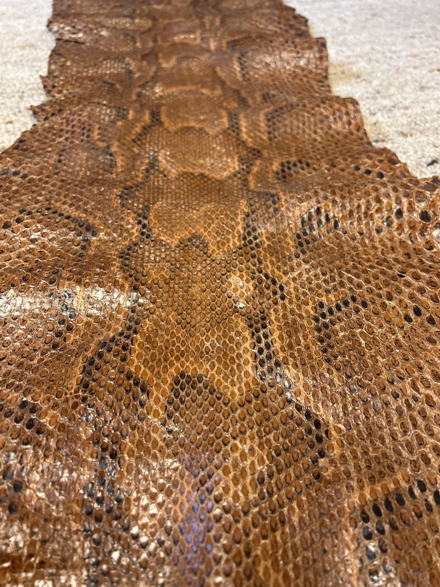 Tutte le decorazioni: Exotische Python Haut, Natur Braun, Unikat, 3 Meter 75cm – Usato da Hinwil venduto da Sizu0 1