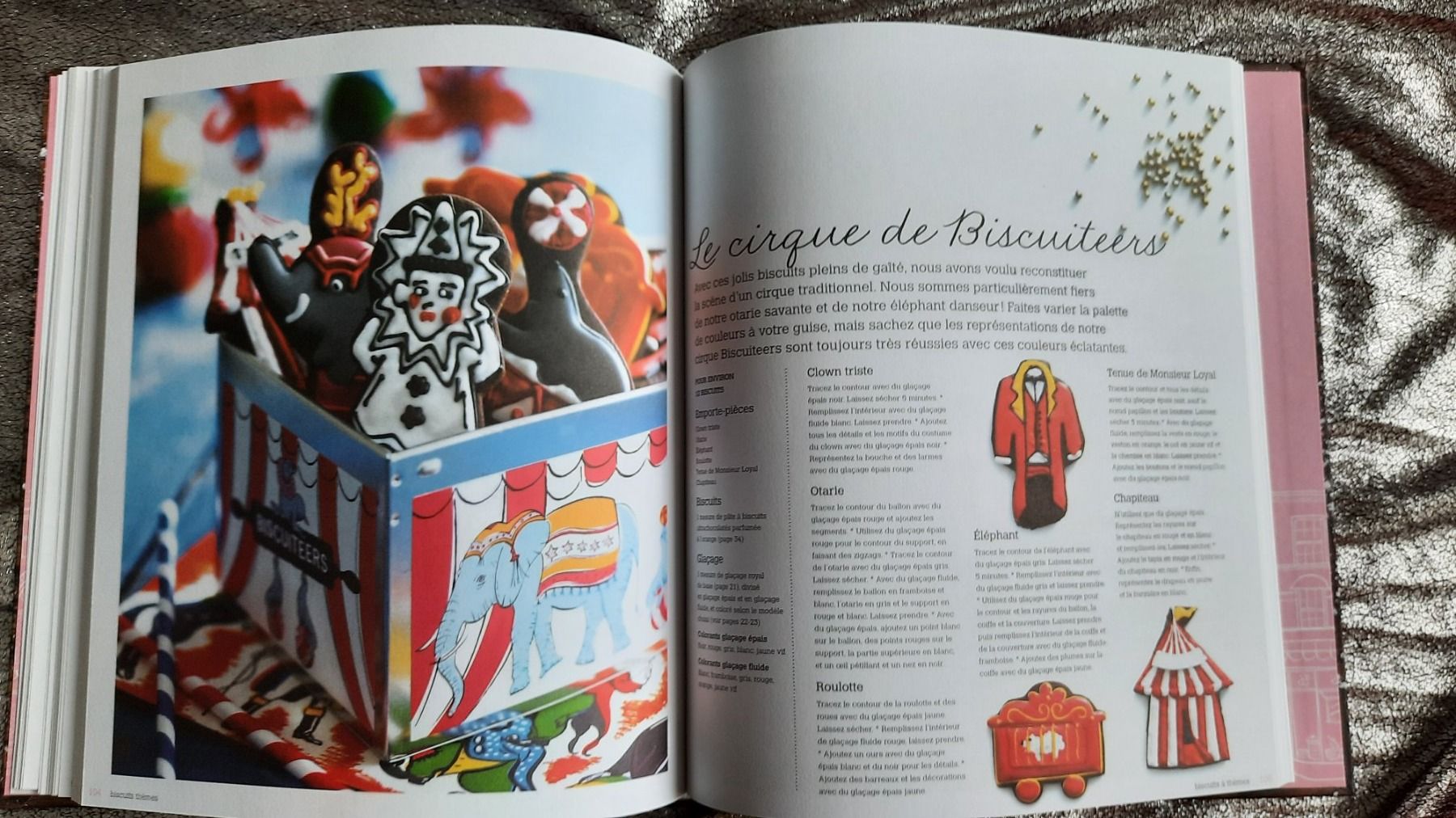 Libri: Mon atelier de biscuits décorés – Usato da Lausanne venduto da BrigitteAnne 5