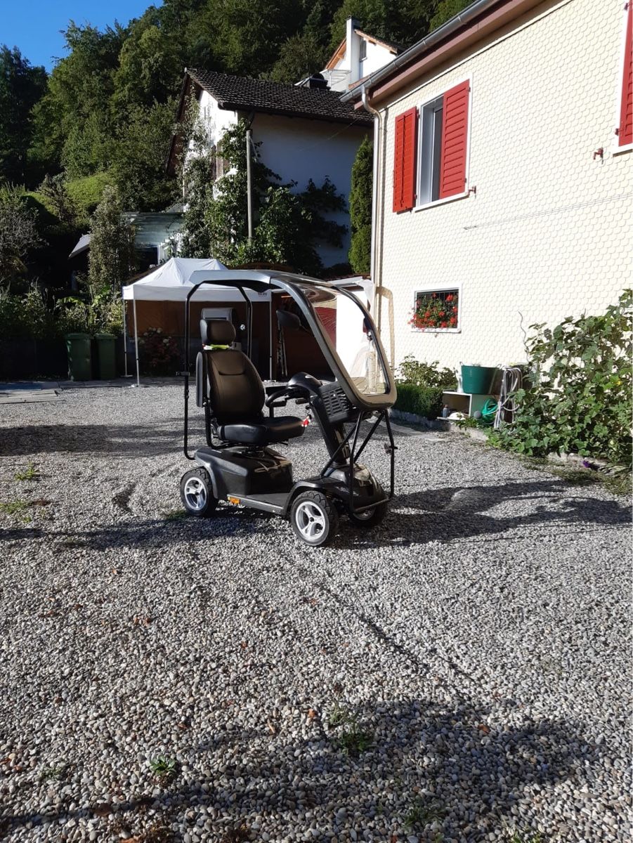 Veicoli elettrici: Elektromobil Comfort m. Dach – Usato da Horw venduto da donia88