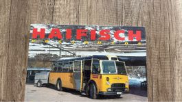 Haifisch Postautos über FBW C40U/C50U Alpenwagen (1955-61)