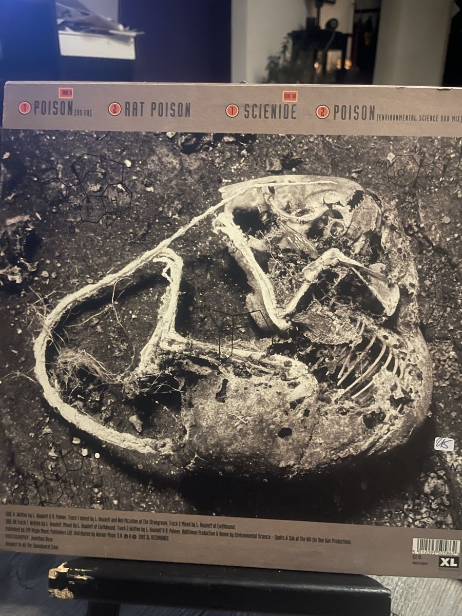 Dischi in vinile: Prodigy / Poison  – Usato da Dagmersellen venduto da stonefinger 1