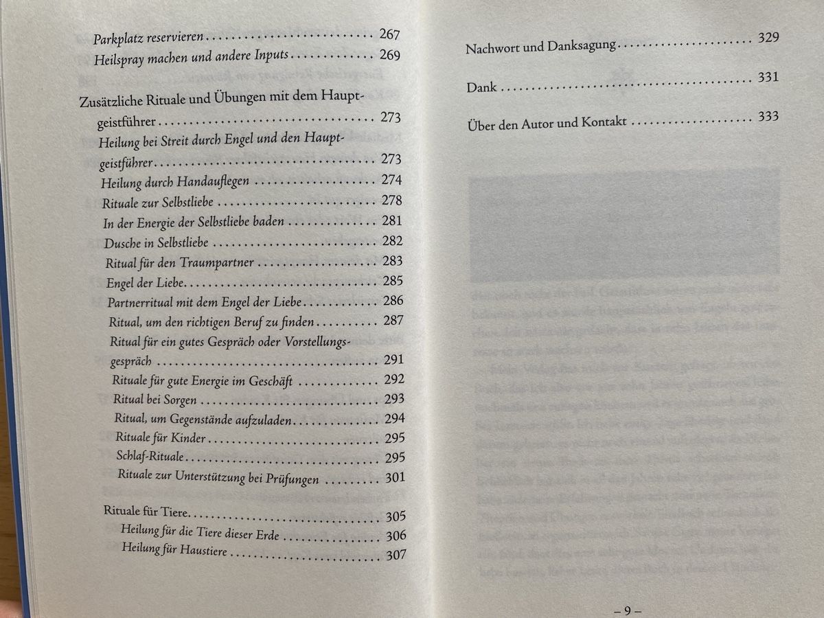 Libri: Deine Geistführer sind bei Dir - Pascal Voggenhuber  – Usato da Schwarzenburg venduto da Michellu 8