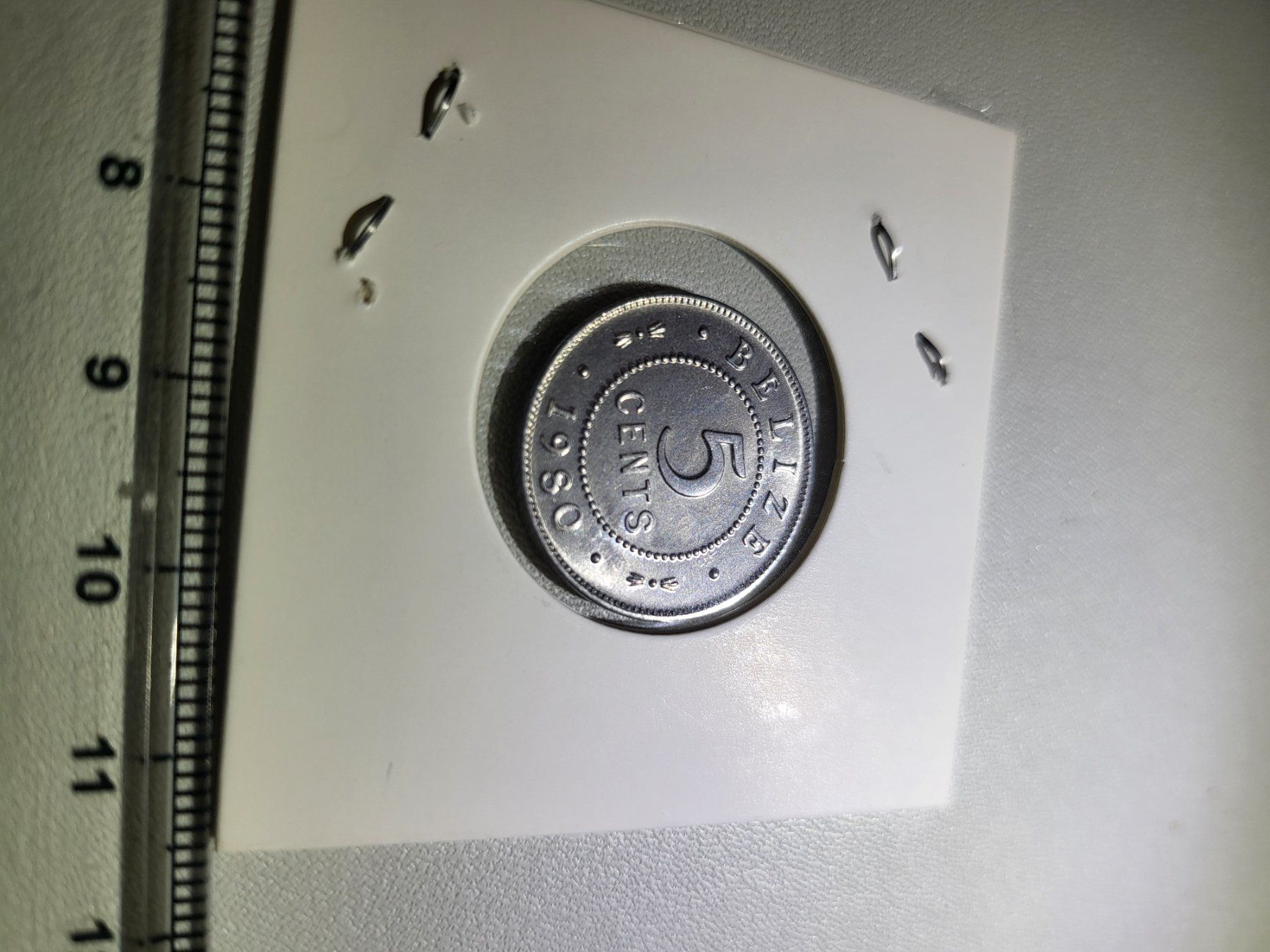 Tutti le monete: Belize 5 cent 1980 – Usato da Zürich venduto da mauritsve