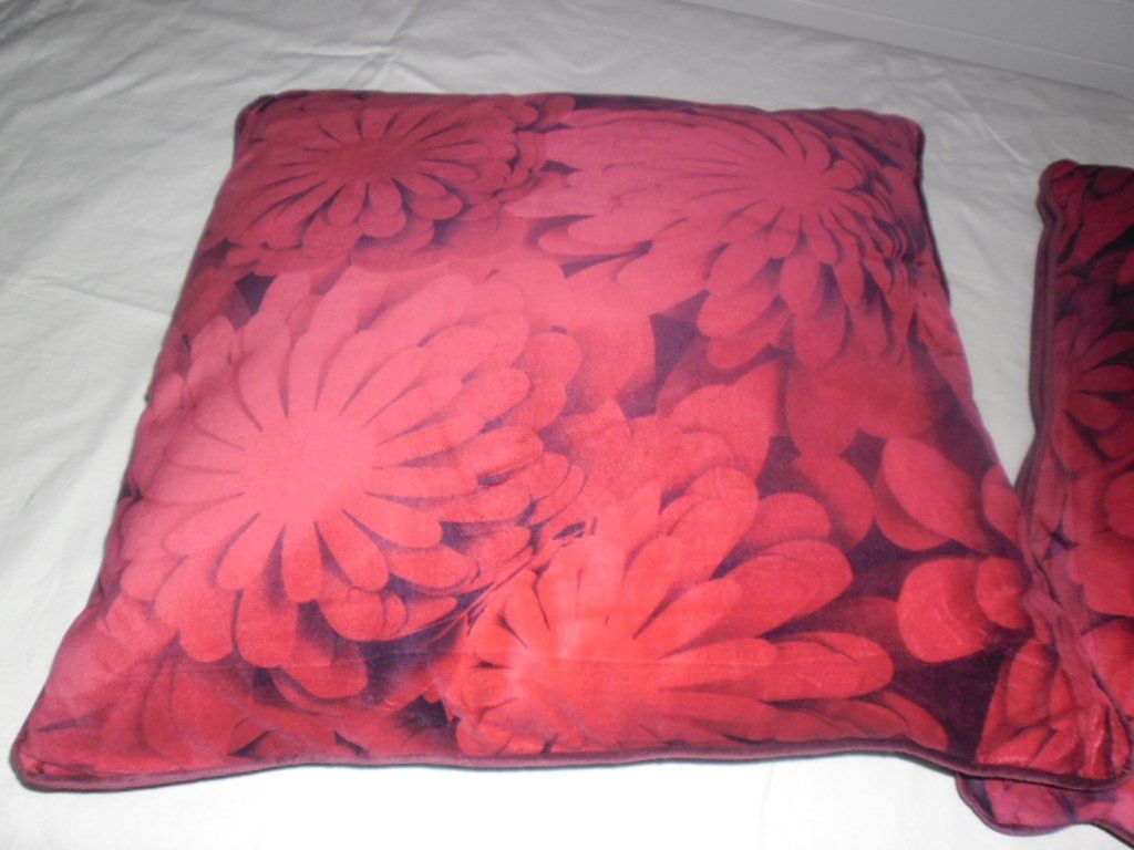 Cuscini: 2 Stk. Kissen , 50x50 cm – Usato da Büren SO venduto da omsa 1
