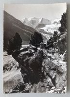 Piz Palü