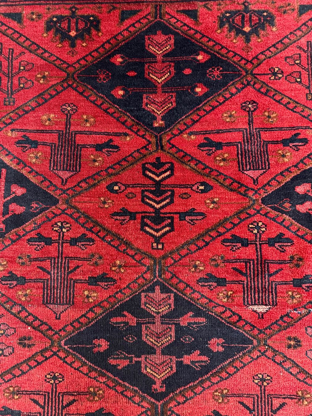 Teppiche: Teppich – Gebraucht aus Günsberg von xansibar 3