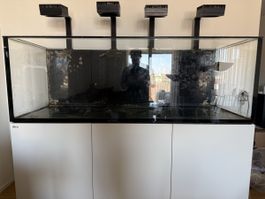 RedSea 750 v3 Meerwasseraquarium