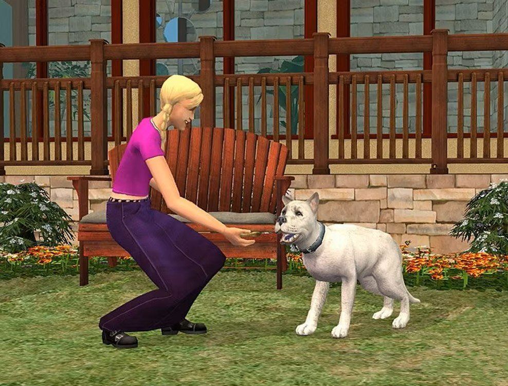 Nintendo Giochi: Die Sims 2 Einfach Tierisch perfekte Haustiere Wii – Usato da Schüpfheim venduto da Games_Spielkonsolen 6