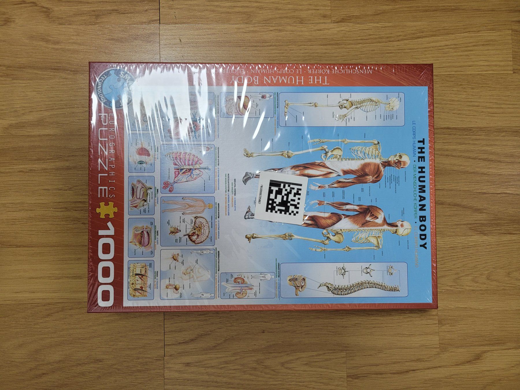 Puzzle: Human Body Puzzle 1000-teilig – Nuovo e nell'imballaggio originale da Inwil venduto da camenzro 1