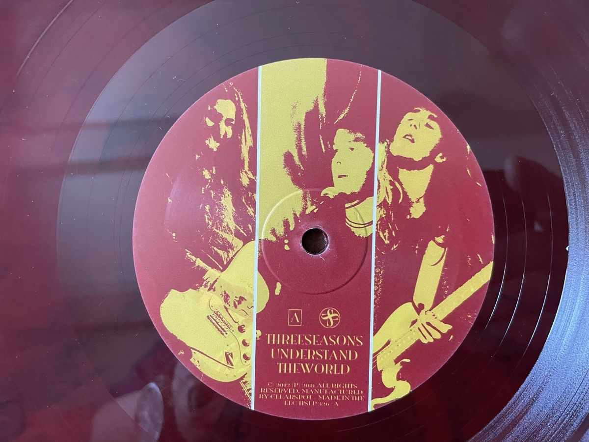 Vinyles: Three Seasons - Vinyl LP - Understand the World  – D'occasion à Olten par Bluespapst 4