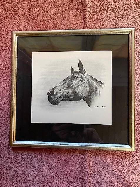 Foto & Immagini: Bleistiftzeichnungen "Pferdekopf", sign. G. Egger 69 – Usato da Cazis venduto da arinba 4