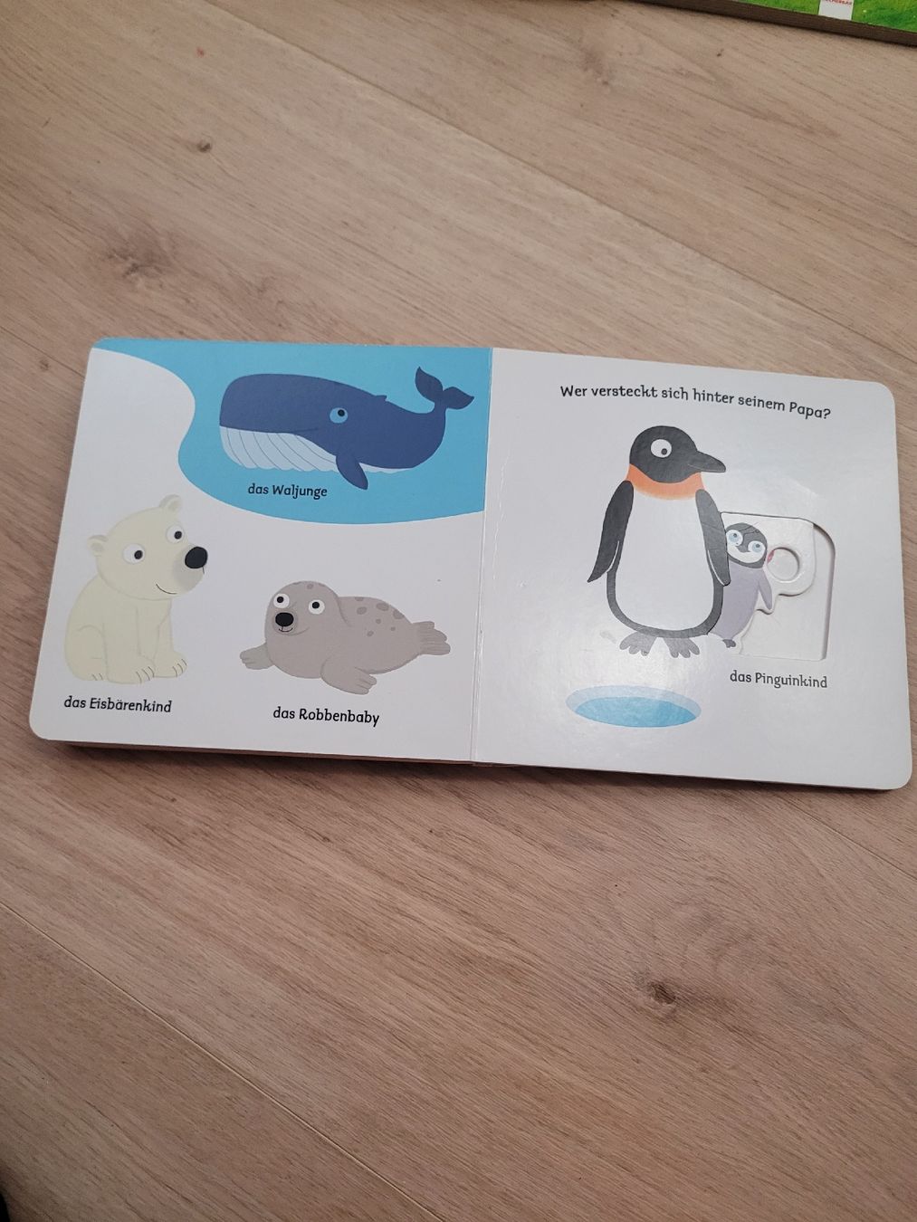 Livres: interaktives Buch Tierkinder 18 Monate – D'occasion à Lupsingen par sta_wgg5 5