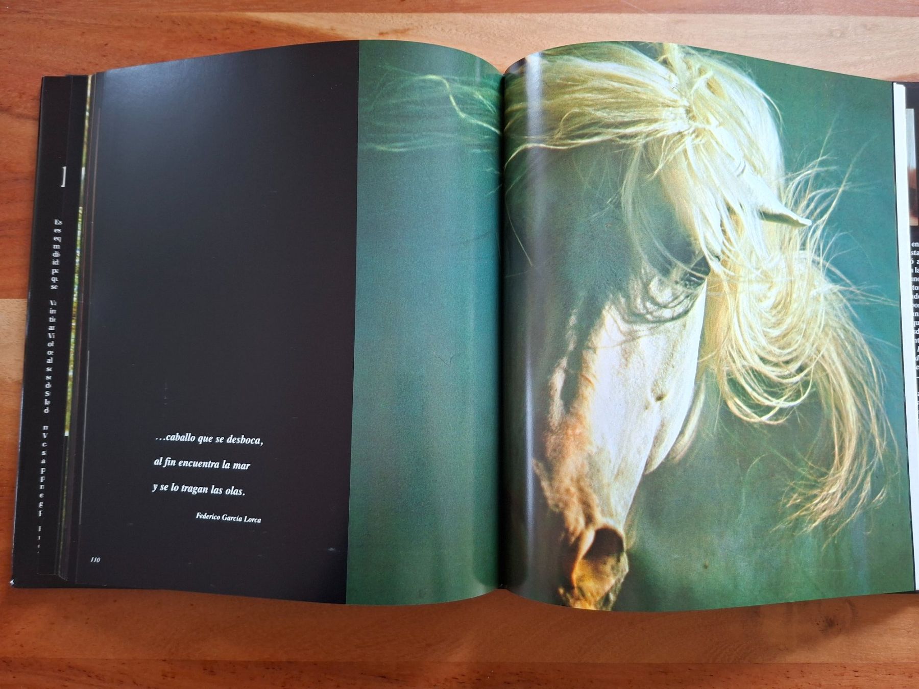 Libri: Robert Vara; Buch "El Caballo Espanol" / Spanische Pferde – Usato da Boniswil venduto da Totomat-Lady2 4