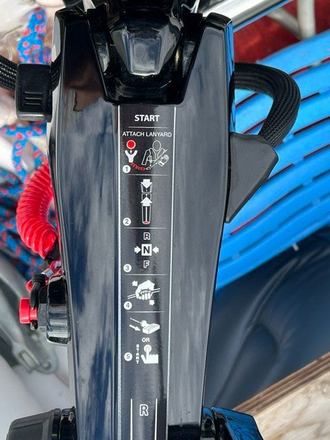 Mercury Motori: Mercury Motor 20 PS mit Boot – Usato da Wangen ZH venduto da Aisha69 6