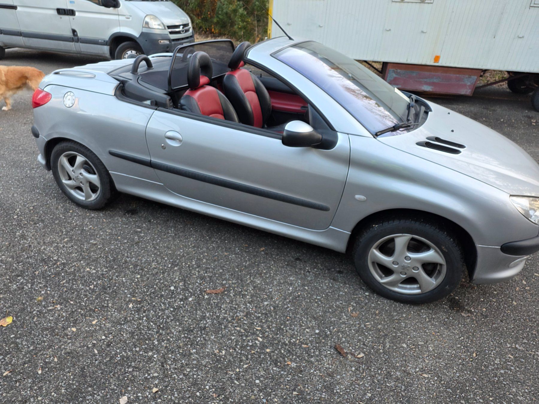 Peugeot Automobili: Peugeot 206  Cabriolet, Lederausstattung – Usato da Küsnacht ZH venduto da itslive
