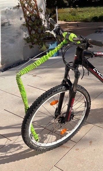 Leine & Halsband: Chien - sangle pour vélo – Gebraucht aus Bouveret von Flurry1987 1