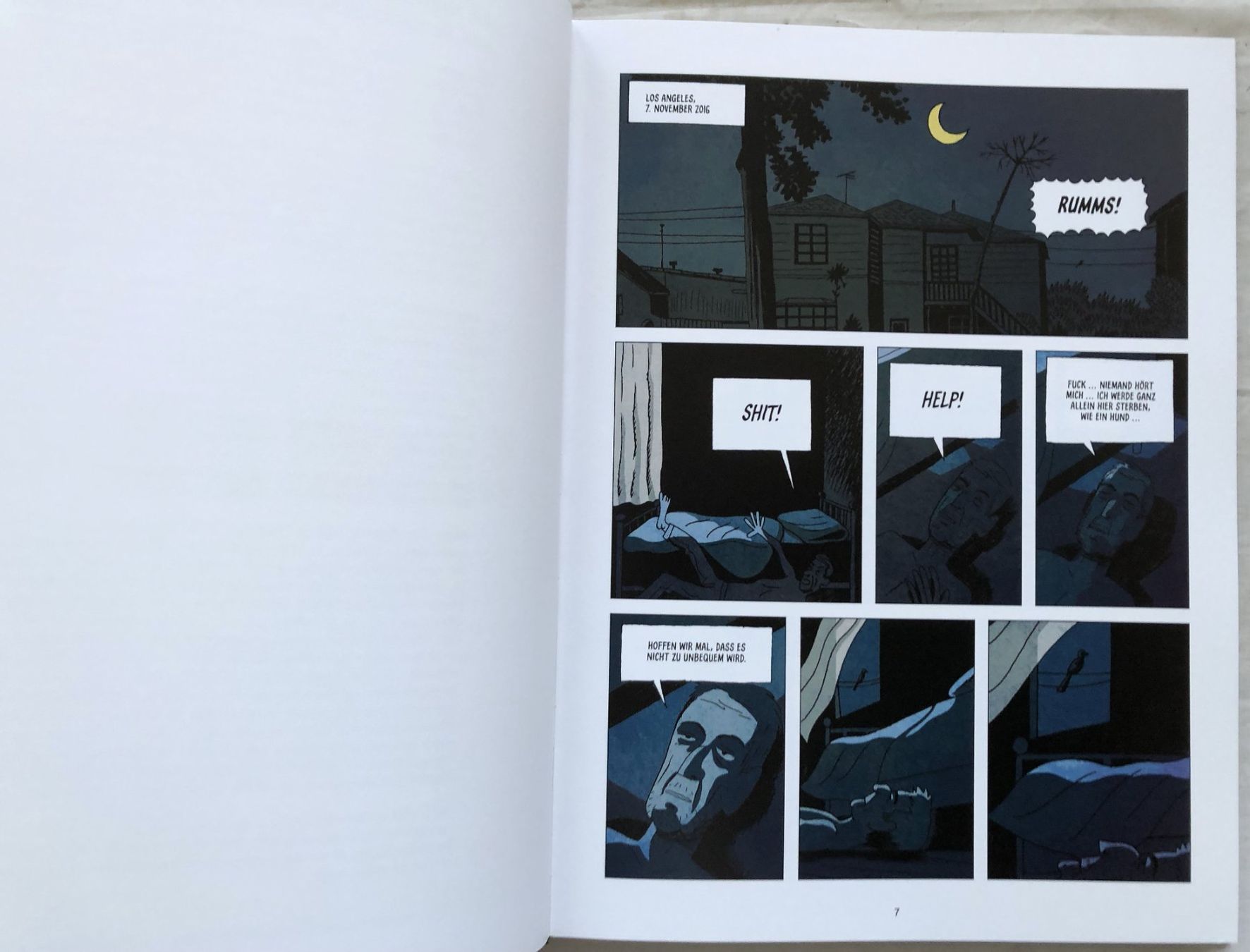Fumetti: Leonard Cohen Comic-Biografie "Like a Bird on a Wire" - HC – Usato da Schaffhausen venduto da durruti 3