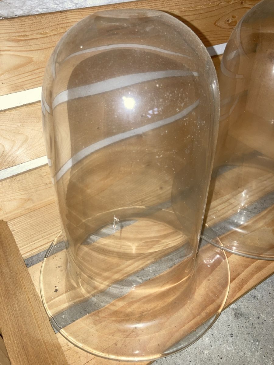 Bicchieri: Glasglocken – Usato da Bern venduto da Spomme 1