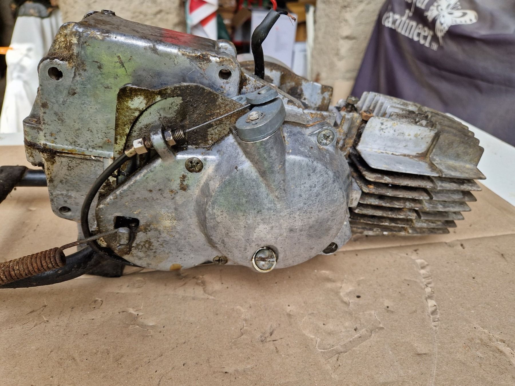 Puch Mofas: Motore Puch con cilindro originale Austria – Gebraucht aus Breno von  3