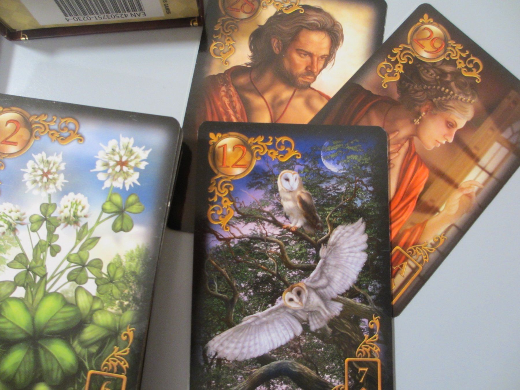 Livres: Tarot Lenormand – Neuf avec emballage d'origine à Herisau par fan_h9qj 3