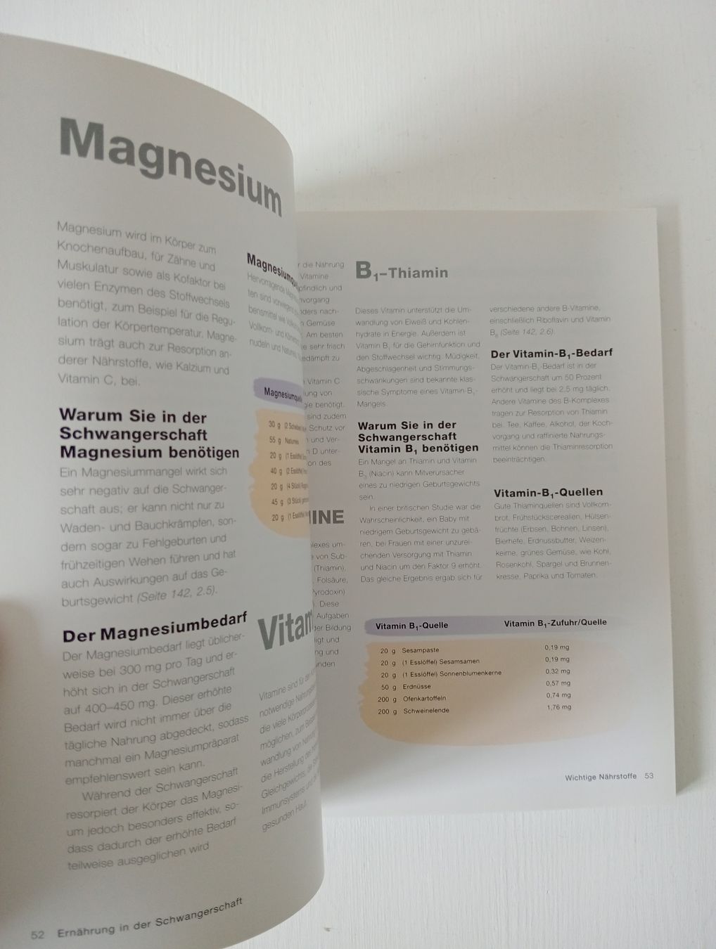 Libri: Gesund essen während der Schwangerschaft Buch – Usato da Allschwil venduto da Evgeniia78 1