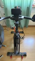 Schwinn IC8