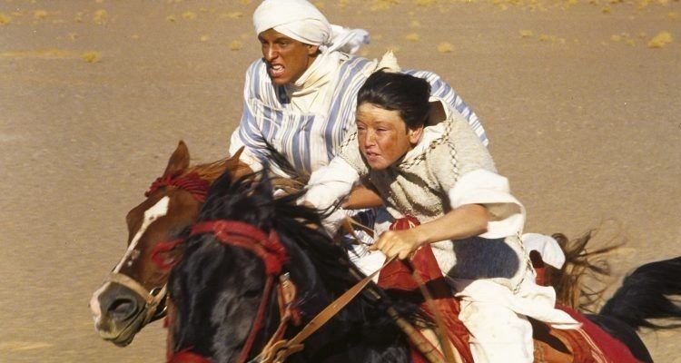 Alle DVDs: The black stallion returns – Gebraucht aus Riehen von M.S.DVD 3